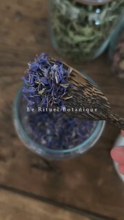 | Le rituel Botanique |

Véritable expérience sensorielle qui associe l'art du massage sur-mesure et les vertus des plantes.

Chacune des étapes de ce soin est confectionnée en fonction de vous et des besoins de votre peau. 

Un moment pour lâcher prise et se reconnecter à soi 🌿